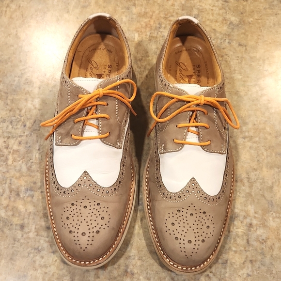 Sperry Wingtip shoe main image 4